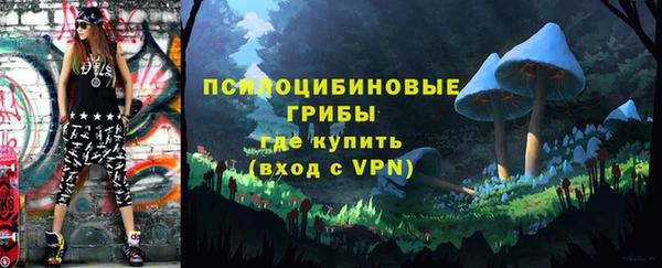 бошки Осинники